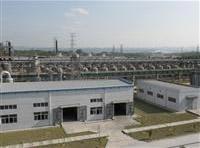 廣西田東錦盛化工有限公司